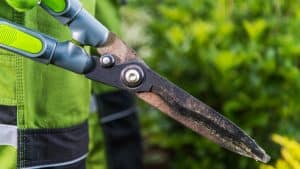 5 Simple Methods To Remove Rust From Garden Shears